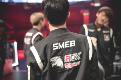 Tigres Smeb Rox