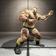 Zangief Couleur Alternative 8