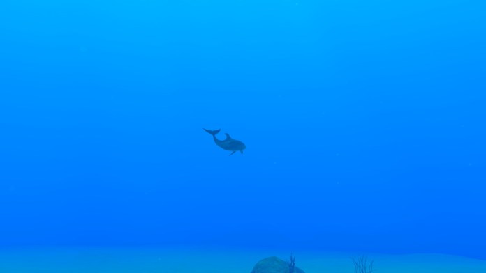 Dauphin à distance sous l'eau